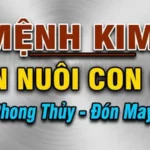 mệnh kim nuôi con gì