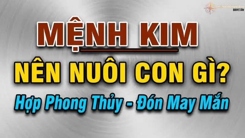 mệnh kim nuôi con gì