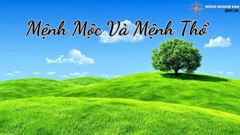 Chồng mệnh Thổ Vợ mệnh Mộc