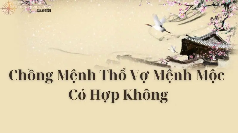 chồng mệnh thổ vợ mệnh mộc