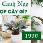 cây hợp mệnh thổ 1990