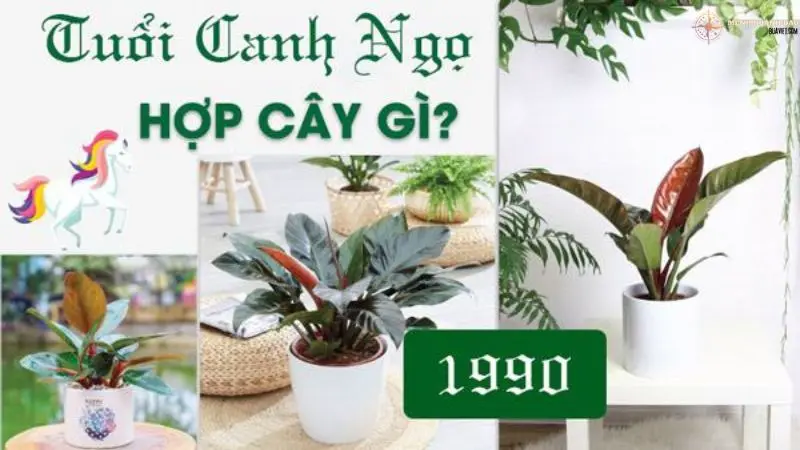 cây hợp mệnh thổ 1990