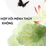 mệnh thổ hợp mệnh thủy không