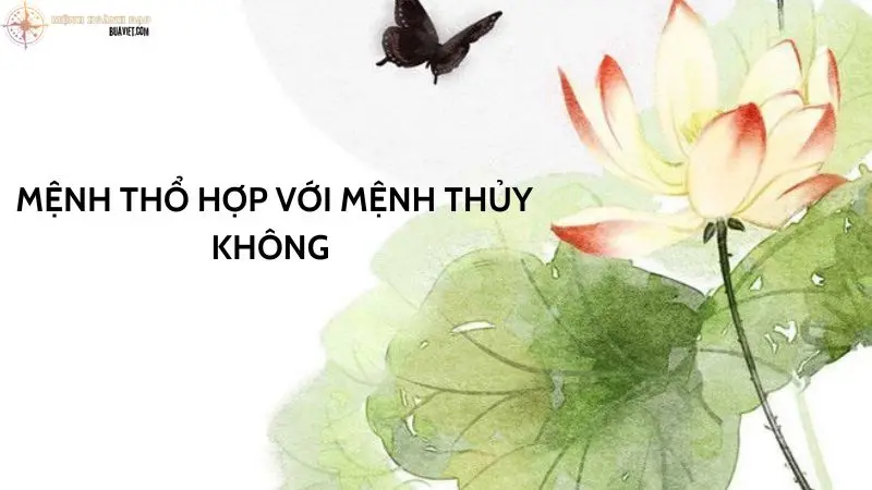 mệnh thổ hợp mệnh thủy không