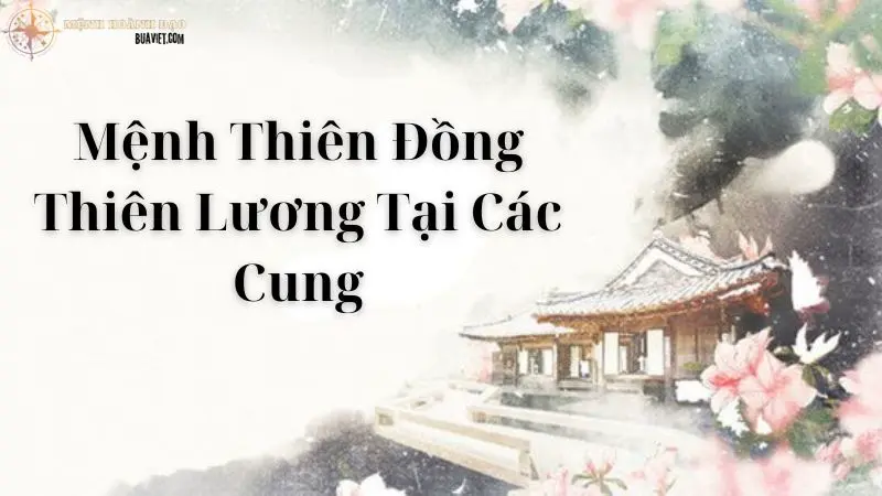 Mệnh Thiên Đồng Thiên Lương